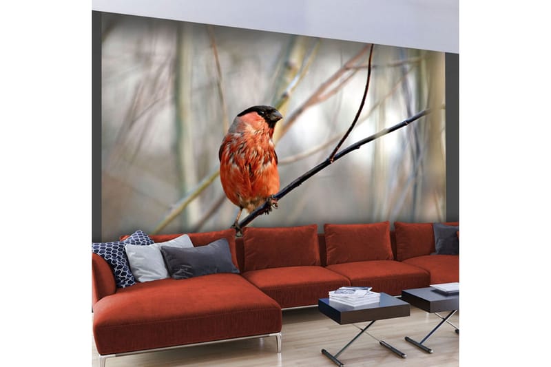 Valokuvatapetti Bullfinch In The Forest 350x270 - Artgeist sp. z o. o. - Sisustustuotteet - Seinäkoristeet - Tapetit - Valokuvatapetit