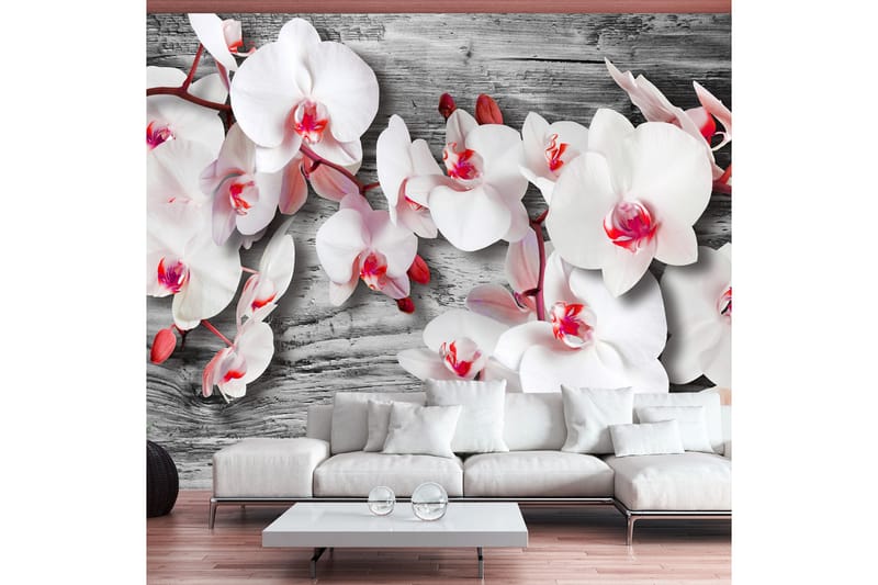 Valokuvatapetti Callous Orchids 250x175 - Artgeist sp. z o. o. - Sisustustuotteet - Seinäkoristeet - Tapetit - Valokuvatapetit
