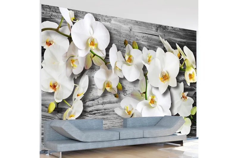Valokuvatapetti Callous Orchids III 350x245, Artgeist sp. z o. o.