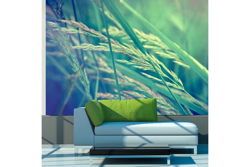 Valokuvatapetti Cereal Field 300x231 - Artgeist sp. z o. o. - Sisustustuotteet - Seinäkoristeet - Tapetit - Valokuvatapetit