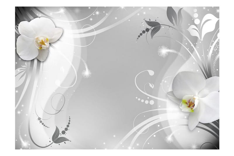 Valokuvatapetti Charming Orchid 400x280 - Artgeist sp. z o. o. - Sisustustuotteet - Seinäkoristeet - Tapetit - Valokuvatapetit