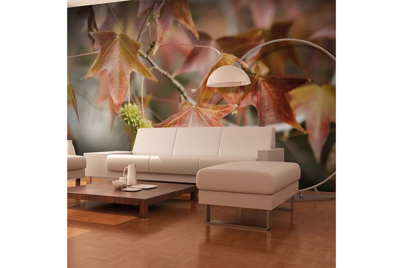 Valokuvatapetti Chestnut 350x270, Artgeist sp. z o. o.