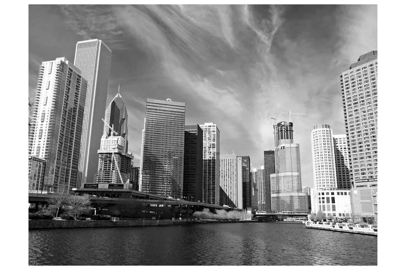 Valokuvatapetti Chicago Skyline Mustavalkoinen 400x309, Artgeist sp. z o. o.