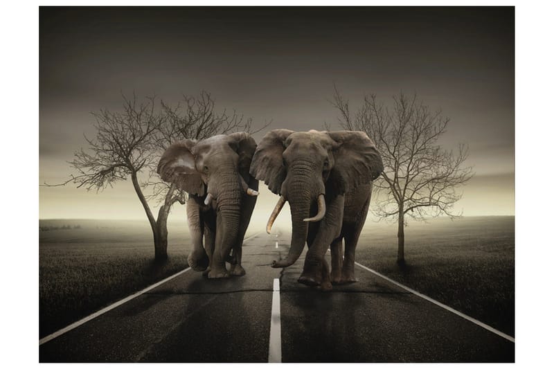Valokuvatapetti City of Elephants 250x193, Artgeist sp. z o. o.