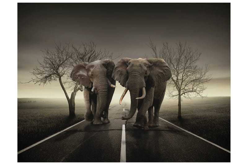 Valokuvatapetti City of elephants 350x270, Artgeist sp. z o. o.