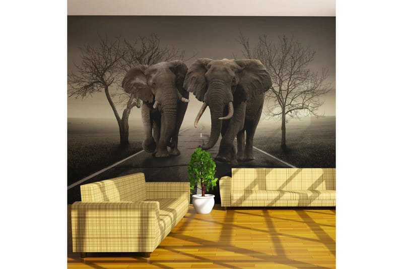 Valokuvatapetti City of elephants 450x270, Artgeist sp. z o. o.