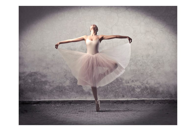 Valokuvatapetti Classic Dance Poetry Without Words 200x154 - Artgeist sp. z o. o. - Sisustustuotteet - Seinäkoristeet - Tapetit - Valokuvatapetit