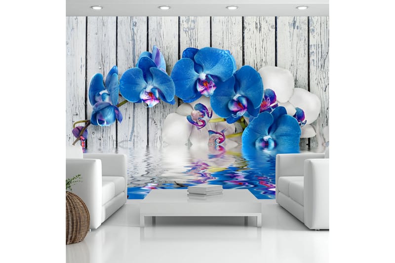 Valokuvatapetti Cobaltic Orchid 150x105 - Artgeist sp. z o. o. - Sisustustuotteet - Seinäkoristeet - Tapetit - Valokuvatapetit