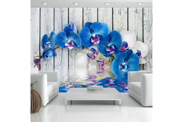 Valokuvatapetti Cobaltic Orchid 250x175 - Artgeist sp. z o. o. - Sisustustuotteet - Seinäkoristeet - Tapetit - Valokuvatapetit