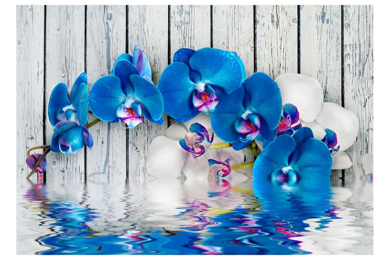 Valokuvatapetti Cobaltic Orchid 250x175 - Artgeist sp. z o. o. - Sisustustuotteet - Seinäkoristeet - Tapetit - Valokuvatapetit