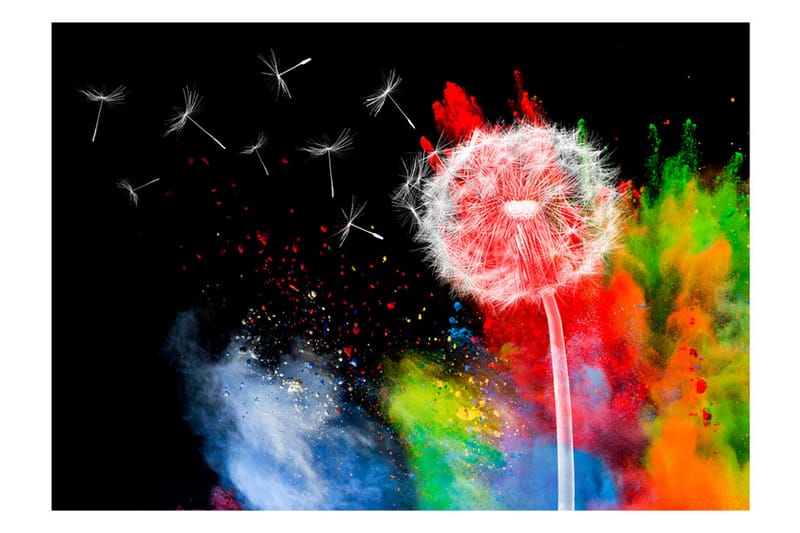 Valokuvatapetti Colourful Element 200x140 - Artgeist sp. z o. o. - Sisustustuotteet - Seinäkoristeet - Tapetit - Valokuvatapetit