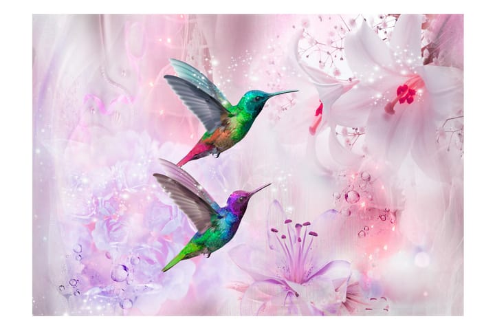 Valokuvatapetti Colourful Hummingbirds Purple 300x210 - Artgeist sp. z o. o. - Valokuvatapetit