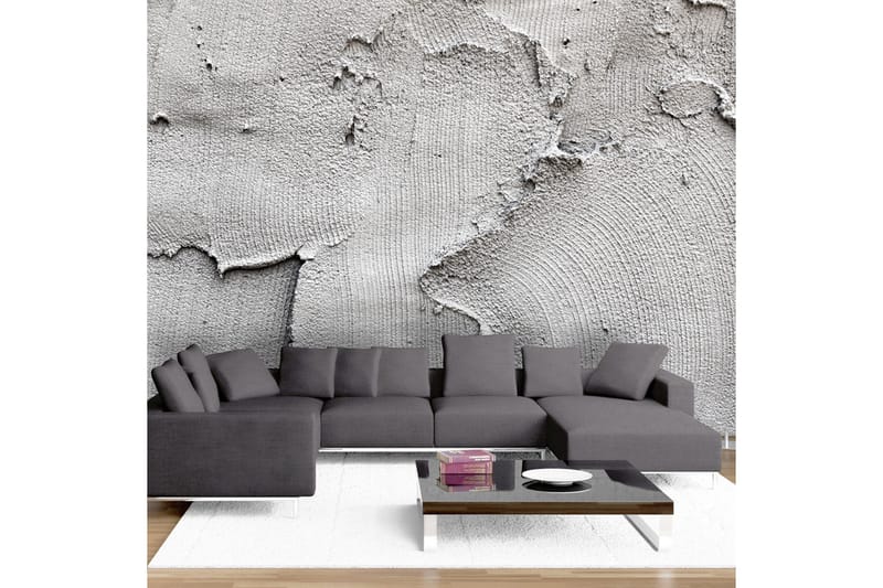 Valokuvatapetti Concrete Nothingness 300x210 - Artgeist sp. z o. o. - Sisustustuotteet - Seinäkoristeet - Tapetit - Valokuvatapetit