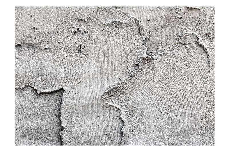 Valokuvatapetti Concrete Nothingness 350x245, Artgeist sp. z o. o.