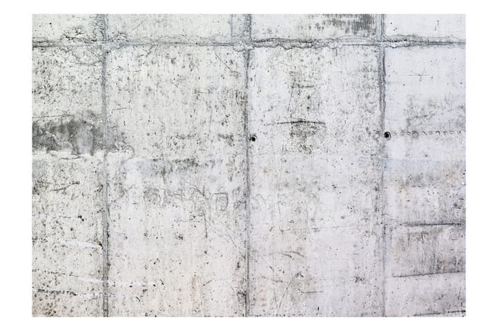 Valokuvatapetti Concrete Wall 300x210 - Artgeist sp. z o. o. - Valokuvatapetit
