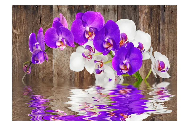 Valokuvatapetti Connection 250x175 - Artgeist sp. z o. o. - Sisustustuotteet - Seinäkoristeet - Tapetit - Valokuvatapetit