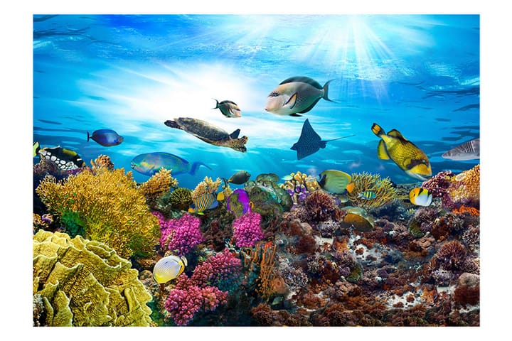 Valokuvatapetti Coral Reef 300x210 - Artgeist sp. z o. o. - Valokuvatapetit