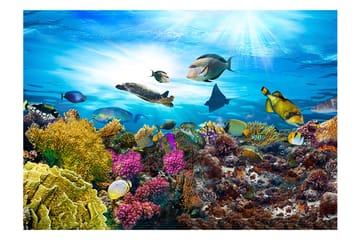 Valokuvatapetti Coral Reef 350x245 - Artgeist sp. z o. o. - Sisustustuotteet - Seinäkoristeet - Tapetit - Valokuvatapetit