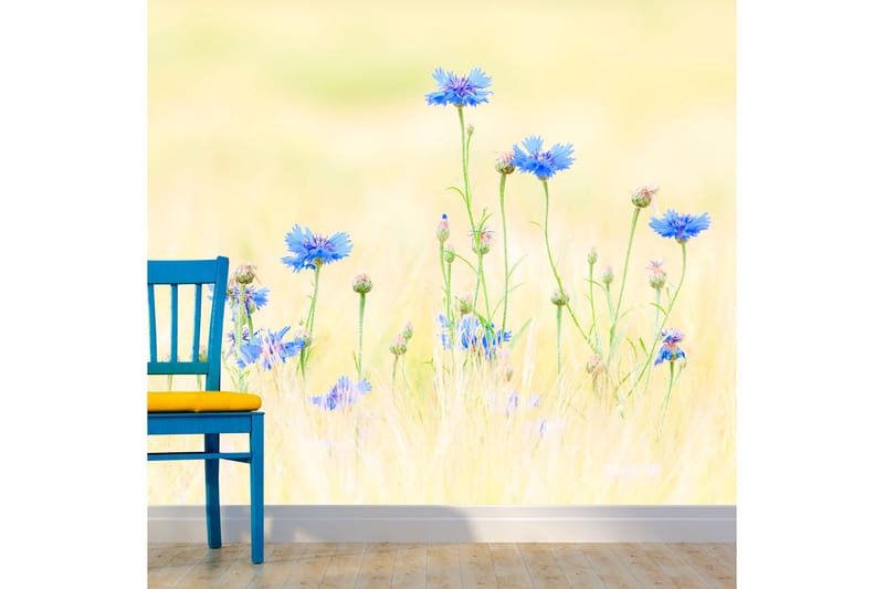 Valokuvatapetti Cornflowers 300x231 - Artgeist sp. z o. o. - Sisustustuotteet - Seinäkoristeet - Tapetit - Valokuvatapetit
