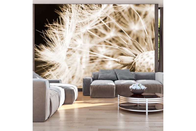 Valokuvatapetti Dandelion Sepia 300x210, Artgeist sp. z o. o.