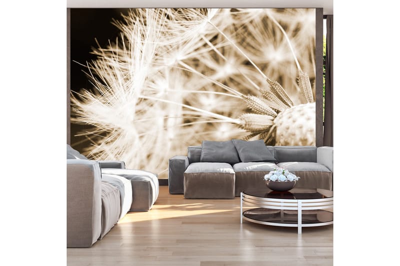 Valokuvatapetti Dandelion Sepia 300x210 - Artgeist sp. z o. o. - Sisustustuotteet - Seinäkoristeet - Tapetit - Valokuvatapetit