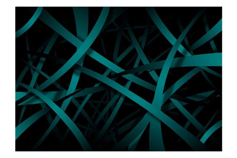 Valokuvatapetti Dark Background 100x70 - Artgeist sp. z o. o. - Sisustustuotteet - Seinäkoristeet - Tapetit - Valokuvatapetit