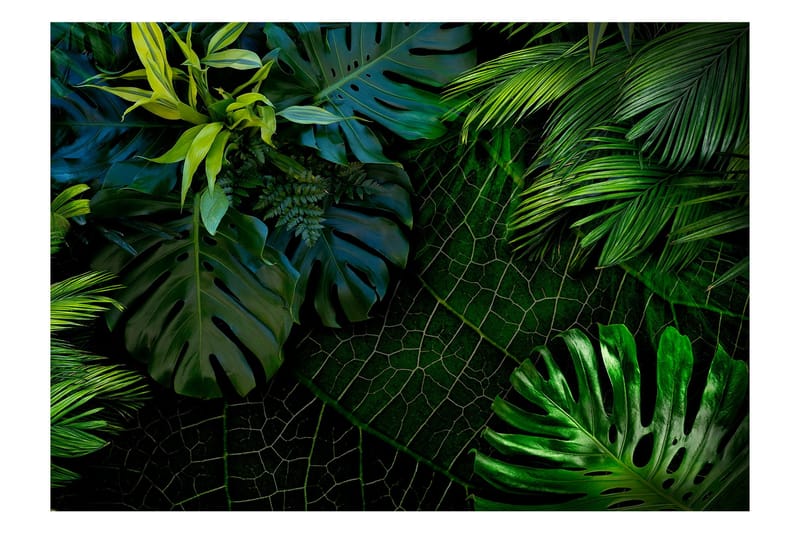 Valokuvatapetti Dark Jungle 200x140, Artgeist sp. z o. o.