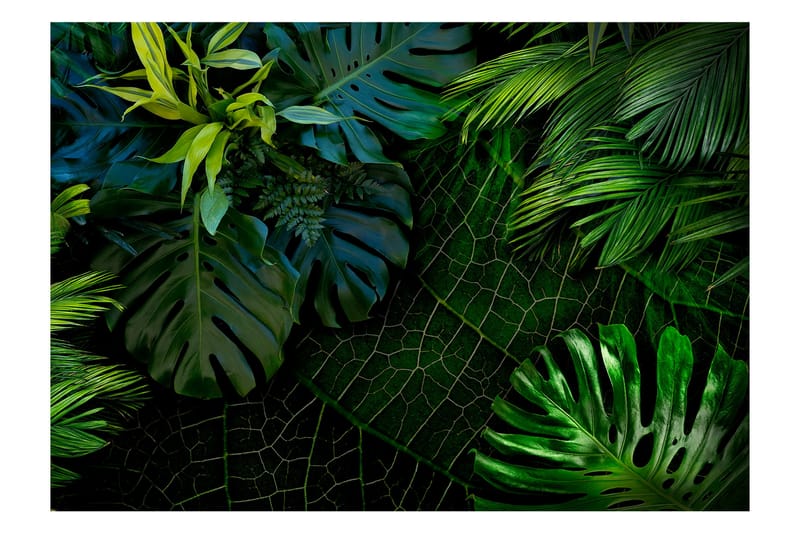 Valokuvatapetti Dark Jungle 250x175 - Artgeist sp. z o. o. - Sisustustuotteet - Seinäkoristeet - Tapetit - Valokuvatapetit