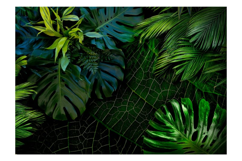 Valokuvatapetti Dark Jungle 400x280 - Artgeist sp. z o. o. - Valokuvatapetit