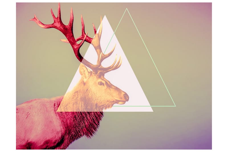 Valokuvatapetti Deer Graphic Pattern 350x270 - Artgeist sp. z o. o. - Sisustustuotteet - Seinäkoristeet - Tapetit - Valokuvatapetit