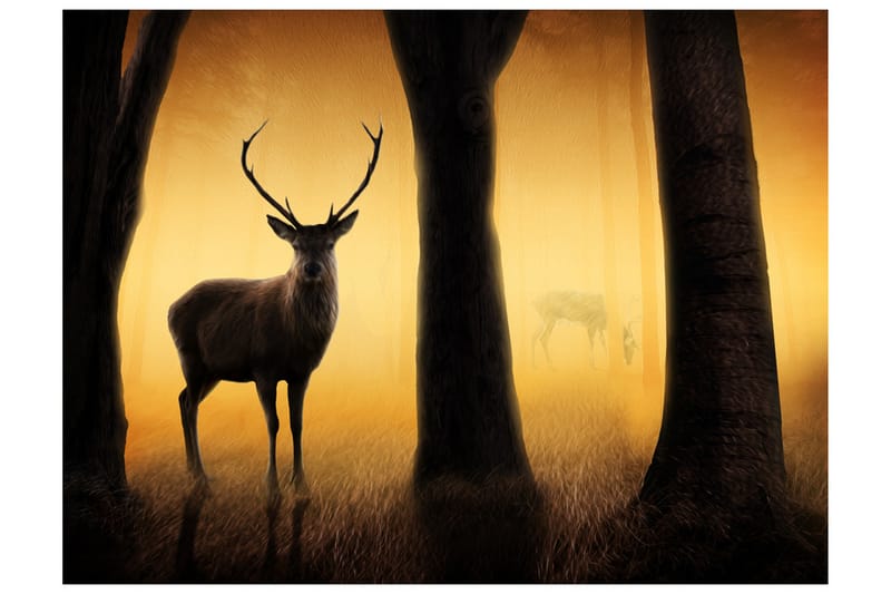 Valokuvatapetti Deer In His Natural Habitat 200x154 - Artgeist sp. z o. o. - Sisustustuotteet - Seinäkoristeet - Tapetit - Valokuvatapetit