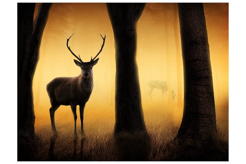 Valokuvatapetti Deer In His Natural Habitat 250x193 - Artgeist sp. z o. o. - Sisustustuotteet - Seinäkoristeet - Tapetit - Valokuvatapetit