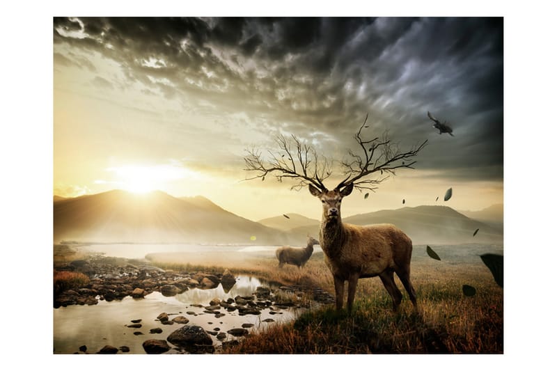 Valokuvatapetti Deers By Mountain Stream 200x154 - Artgeist sp. z o. o. - Sisustustuotteet - Seinäkoristeet - Tapetit - Valokuvatapetit