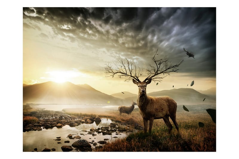 Valokuvatapetti Deers By Mountain Stream 200x154 - Artgeist sp. z o. o. - Sisustustuotteet - Seinäkoristeet - Tapetit - Valokuvatapetit