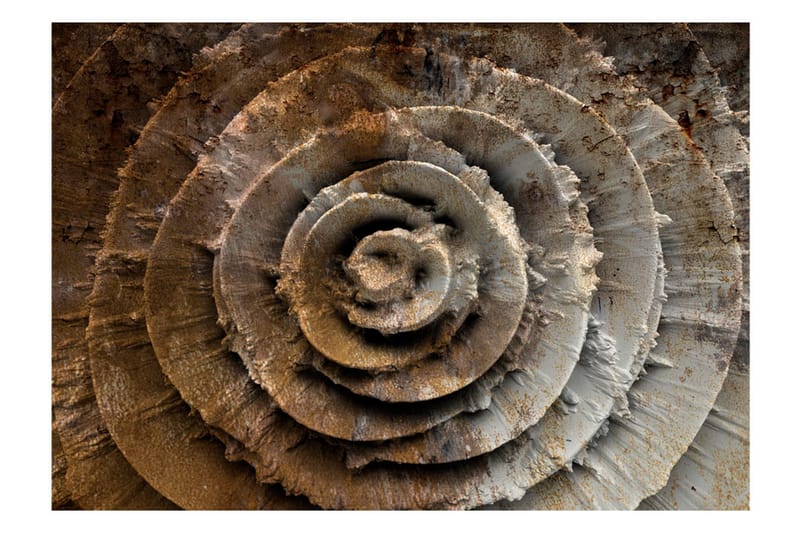 Valokuvatapetti Desert Rose 400x280 - Artgeist sp. z o. o. - Sisustustuotteet - Seinäkoristeet - Tapetit - Valokuvatapetit