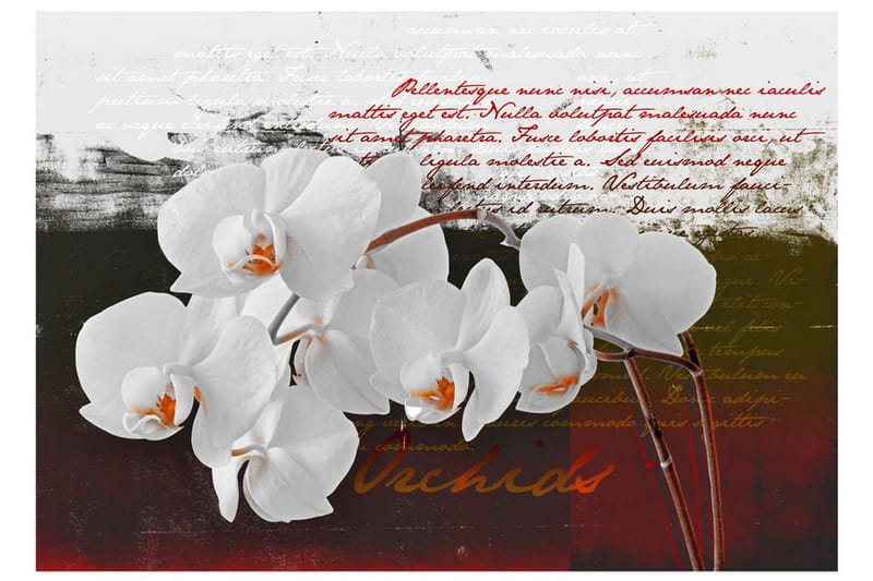 Valokuvatapetti Diary And Orchid 300x210 - Artgeist sp. z o. o. - Sisustustuotteet - Seinäkoristeet - Tapetit - Valokuvatapetit