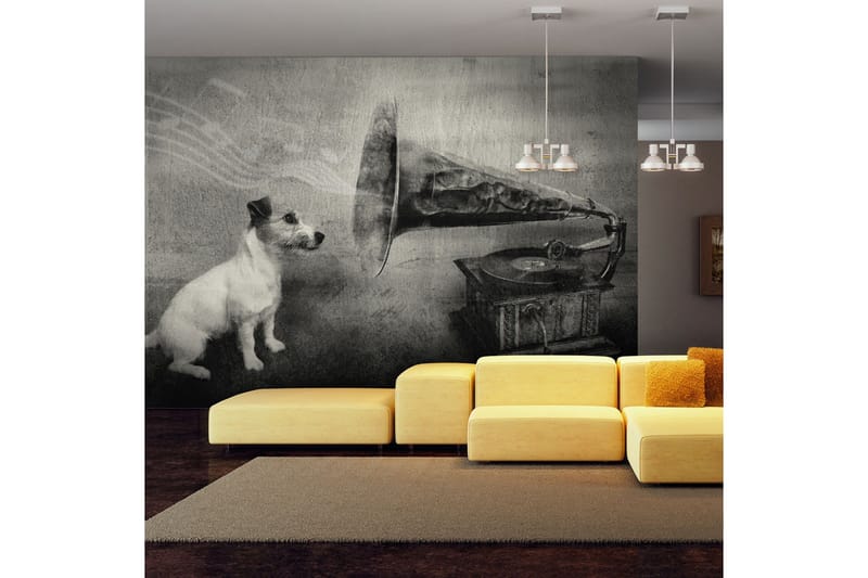 Valokuvatapetti Dog's Melodies 300x231, Artgeist sp. z o. o.