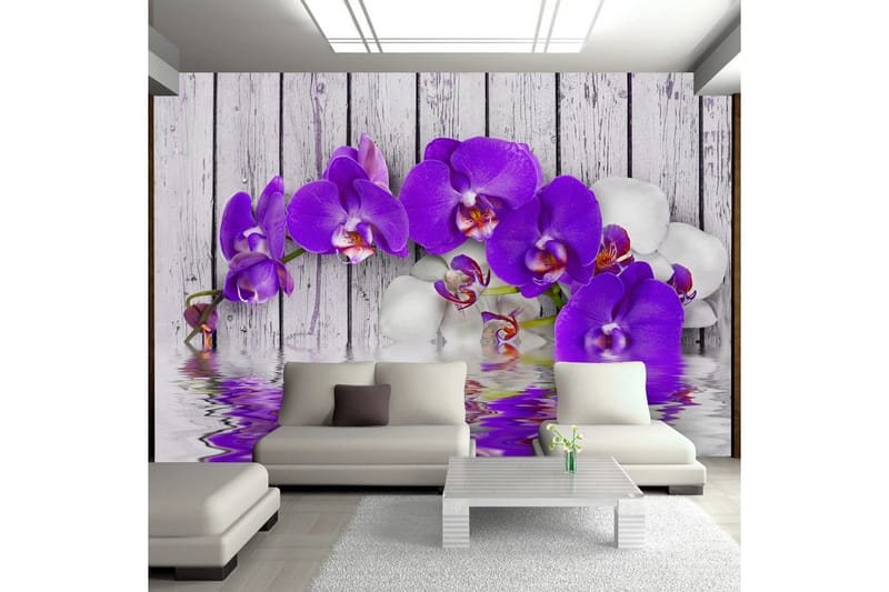 Valokuvatapetti Dormant Instincts 250x175, Artgeist sp. z o. o.