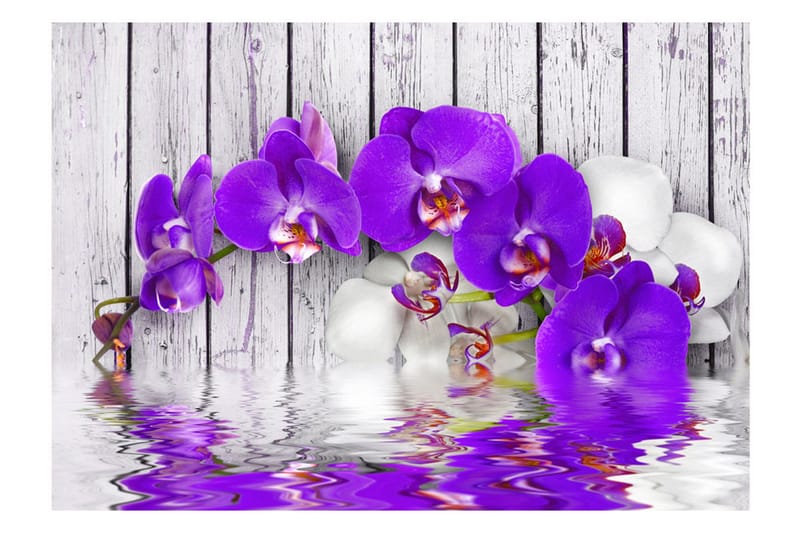 Valokuvatapetti Dormant Instincts 300x210 - Artgeist sp. z o. o. - Sisustustuotteet - Seinäkoristeet - Tapetit - Valokuvatapetit