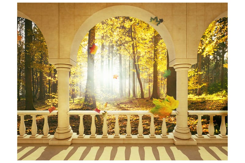 Valokuvatapetti Dream About Autumnal Forest 250x193 - Artgeist sp. z o. o. - Sisustustuotteet - Seinäkoristeet - Tapetit - Valokuvatapetit
