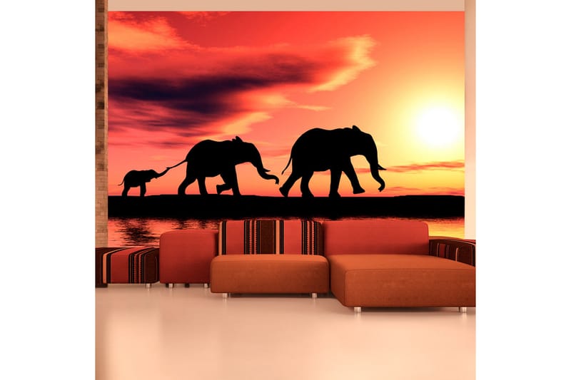 Valokuvatapetti Elefantit Perhe 200x154 - Artgeist sp. z o. o. - Sisustustuotteet - Seinäkoristeet - Tapetit - Valokuvatapetit
