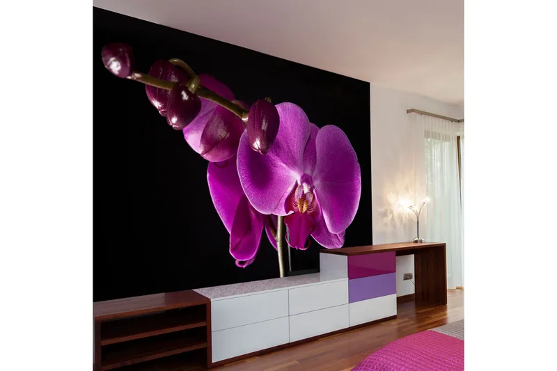 Valokuvatapetti Elegant Orchids 200x154, Artgeist sp. z o. o.
