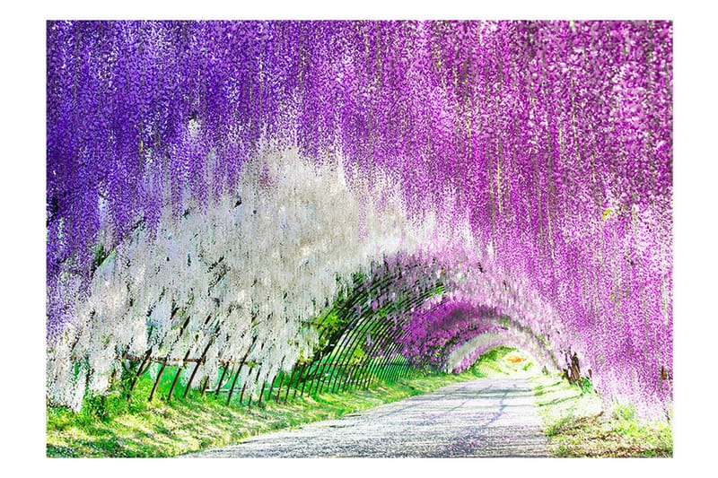 Valokuvatapetti Enchanted Garden 100x70 - Artgeist sp. z o. o. - Sisustustuotteet - Seinäkoristeet - Tapetit - Valokuvatapetit