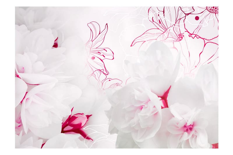 Valokuvatapetti Enveloped In White 250x175 - Artgeist sp. z o. o. - Sisustustuotteet - Seinäkoristeet - Tapetit - Valokuvatapetit