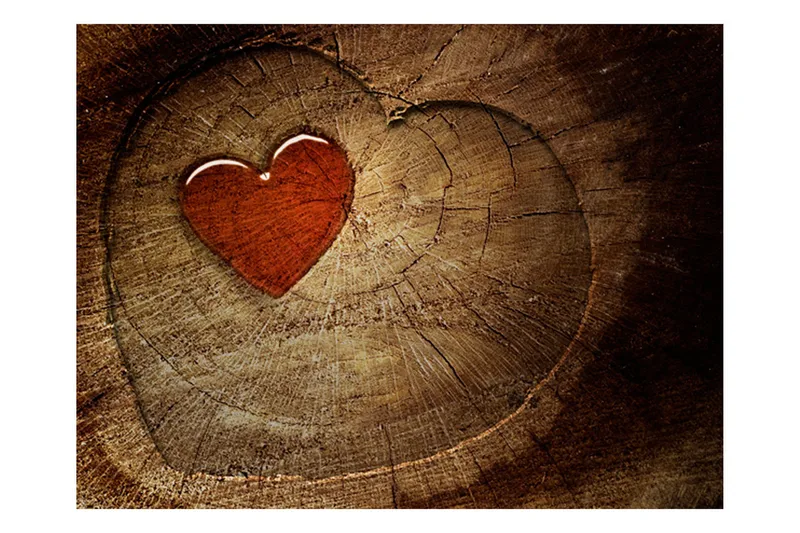 Valokuvatapetti Eternal Love 300x231 - Artgeist sp. z o. o. - Sisustustuotteet - Seinäkoristeet - Tapetit - Valokuvatapetit