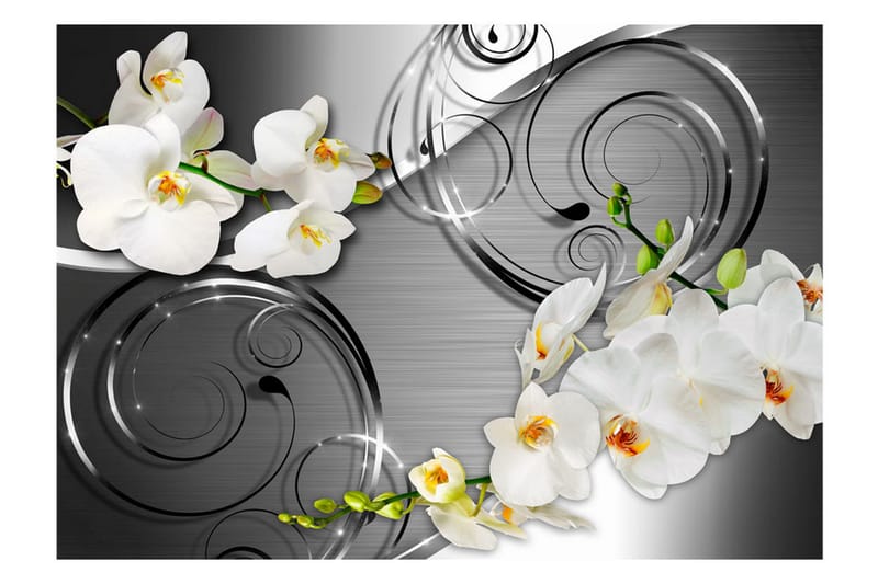 Valokuvatapetti Expectation 300x210 - Artgeist sp. z o. o. - Sisustustuotteet - Seinäkoristeet - Tapetit - Valokuvatapetit