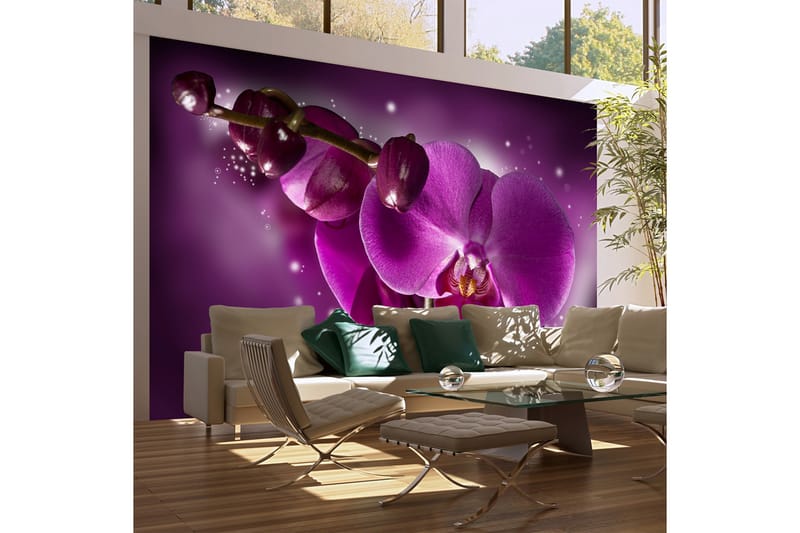 Valokuvatapetti Fairy Tale And Orchid 450x270 - Artgeist sp. z o. o. - Sisustustuotteet - Seinäkoristeet - Tapetit - Valokuvatapetit