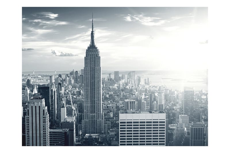 Valokuvatapetti Fantastic View To Manhattan 250x193 - Artgeist sp. z o. o. - Sisustustuotteet - Seinäkoristeet - Tapetit - Valokuvatapetit