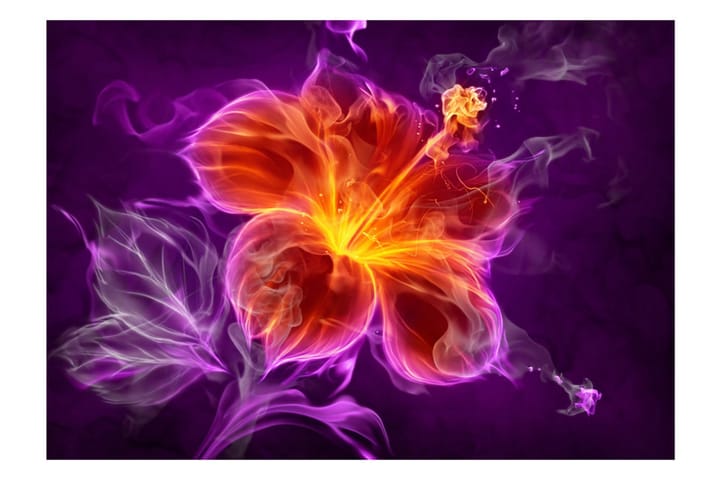 Valokuvatapetti Fiery Flower In Purple 150x105 - Artgeist sp. z o. o. - Valokuvatapetit