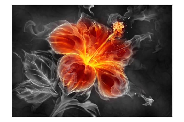 Valokuvatapetti Fiery Flower Inside The Smoke 100x70 - Artgeist sp. z o. o. - Valokuvatapetit
